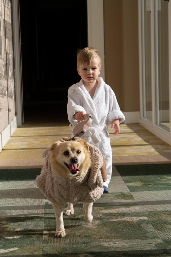 Hotel & Spa Trzy Wyspy ชวีโนวิชแจ ภายนอก รูปภาพ